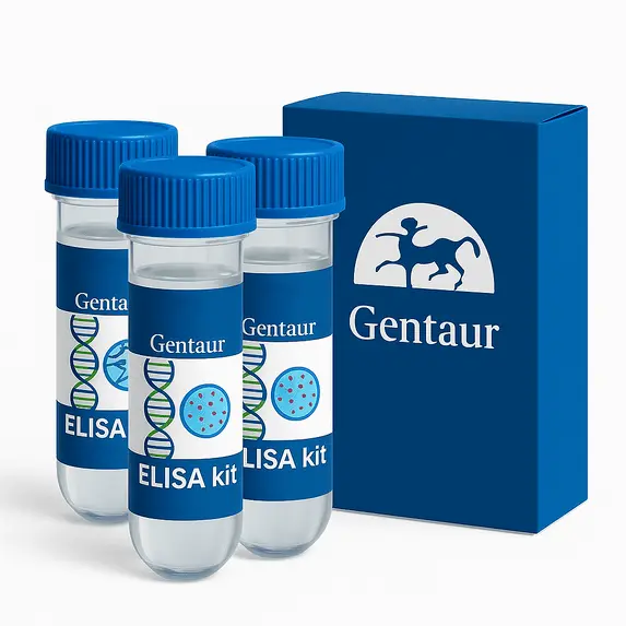 Mouse Albumin ELISA Kit 1 Kit (96 Wells) - 1 Kit