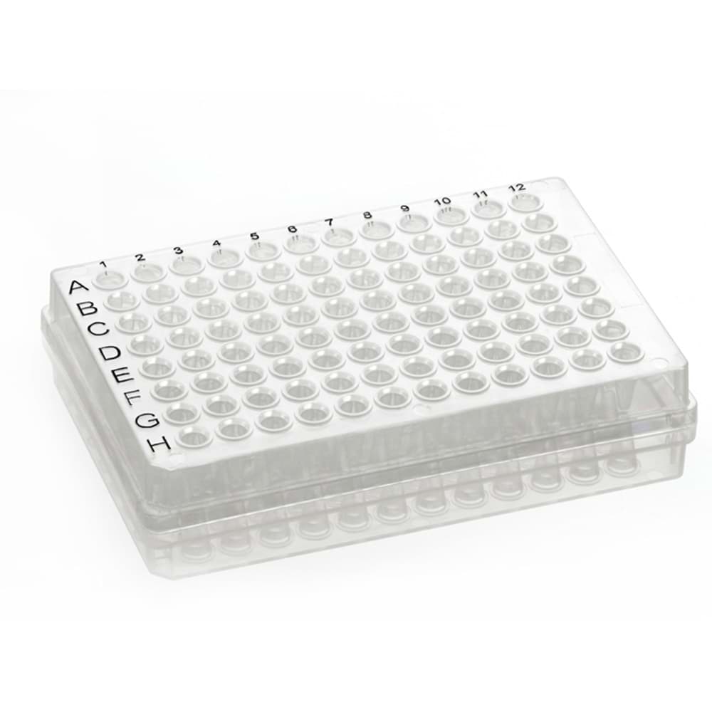 AmpliStar 384 Well LC480 QPCR Plate, White, Black-lettered
