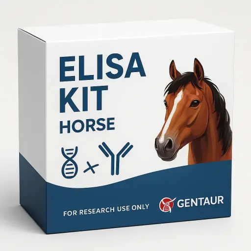 Horse CsA ELISA Kit