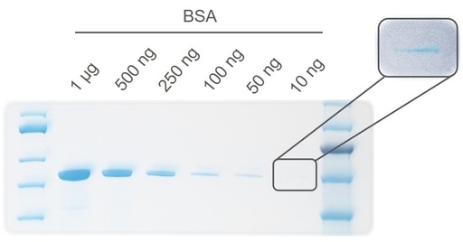 [SK6S424] Q-Stain Protein Staining Solution