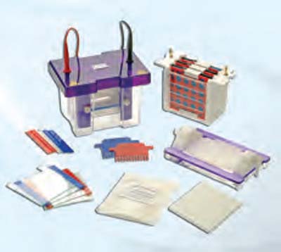 [SK6S440] Complete system for Mini Vertical Electrophoresis & Blotting Including: Vertical Tank, Blotting Insert & Accessories.