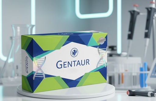 [UF-202] Monkey Brain Cerebellum Frozen Sections, Rhesus