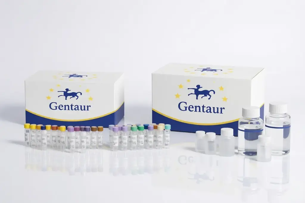 [00213-V-02-sf] HHV-4 recombinant EA antigen. Region: 306-390aa